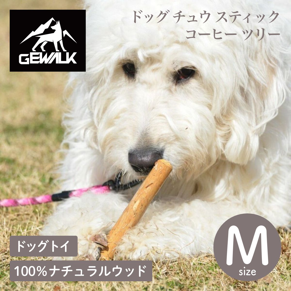 【GEWALK ジウォーク】ドッグ チュウ スティック コーヒー ツリー Mサイズ