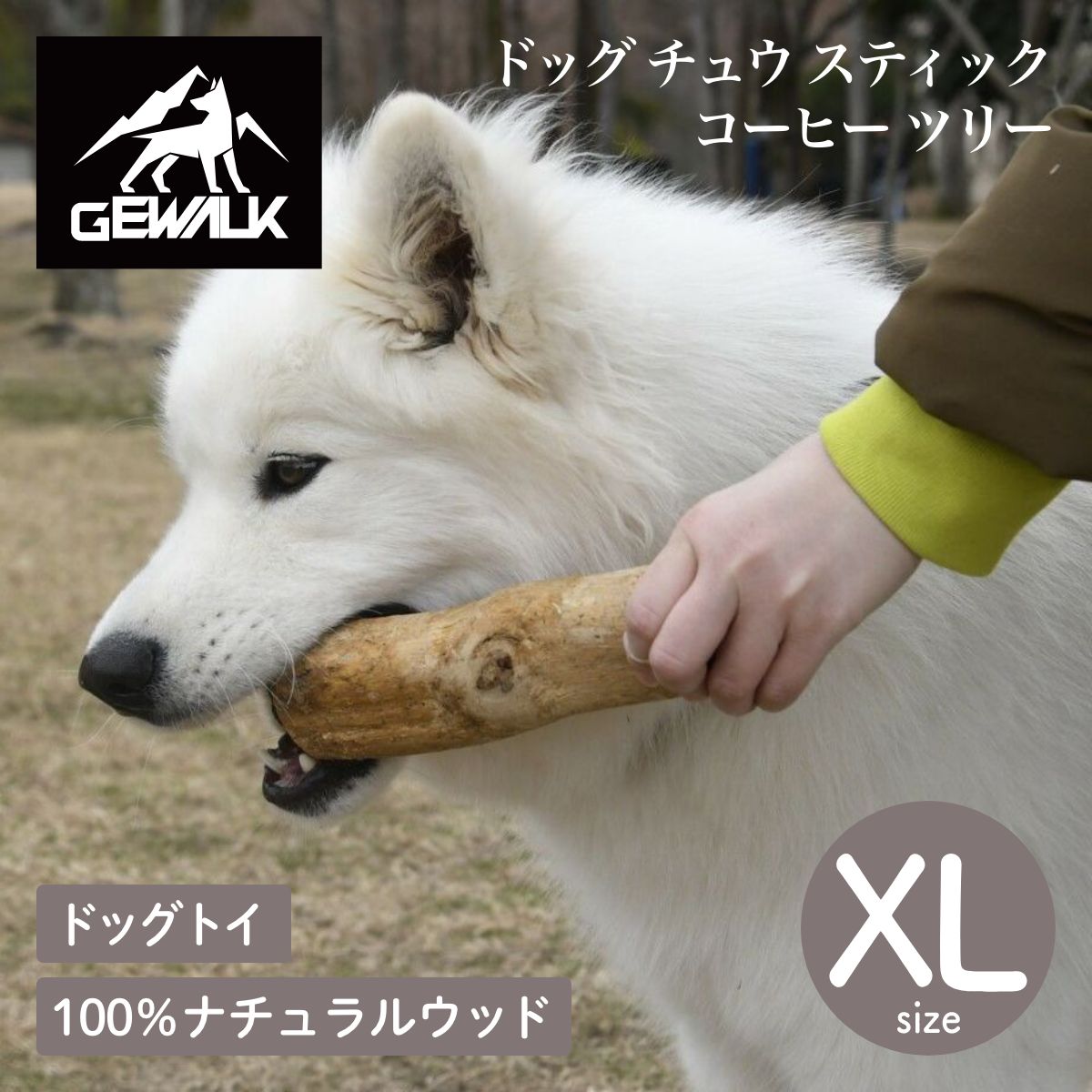 【GEWALK ジウォーク】ドッグ チュウ スティック コーヒー ツリー XLサイズ