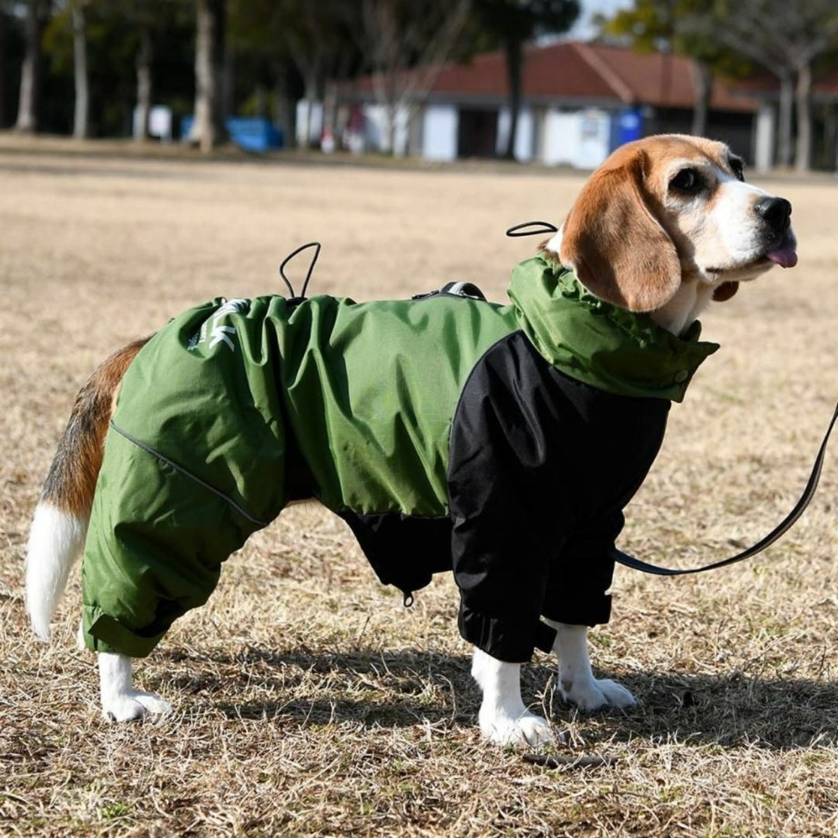 【GEWALK ジウォーク】2025年モデル ドリズル サーマル オーバーオール M Lサイズ 中型犬 撥水加工 ドッグウェア