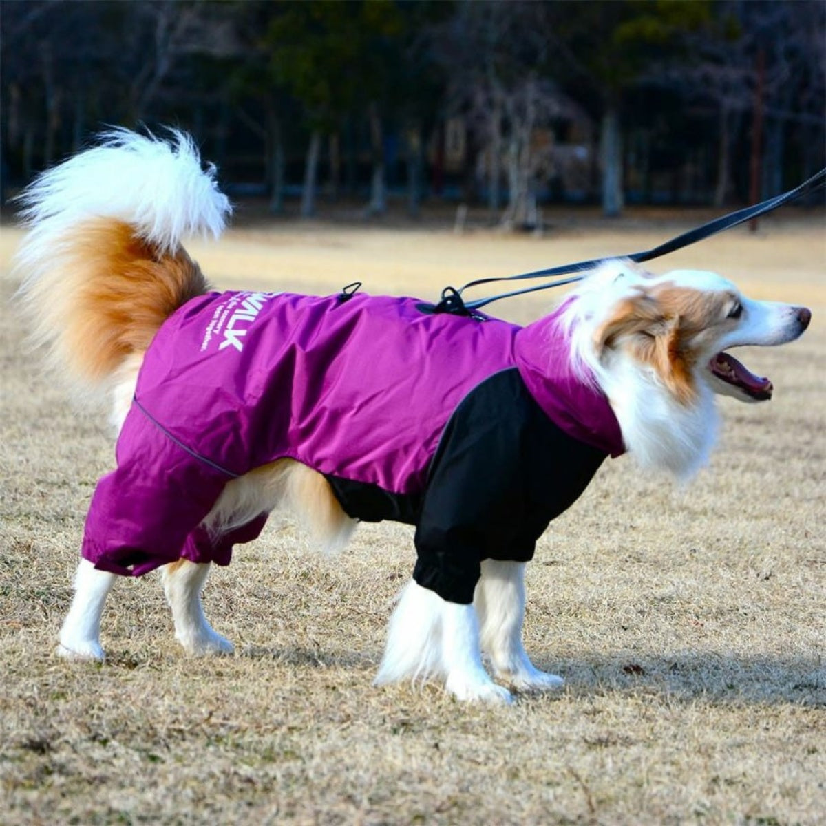 【GEWALK ジウォーク】2025年モデル ドリズル サーマル オーバーオール XL 2XLサイズ 大型犬 撥水加工 ドッグウェア