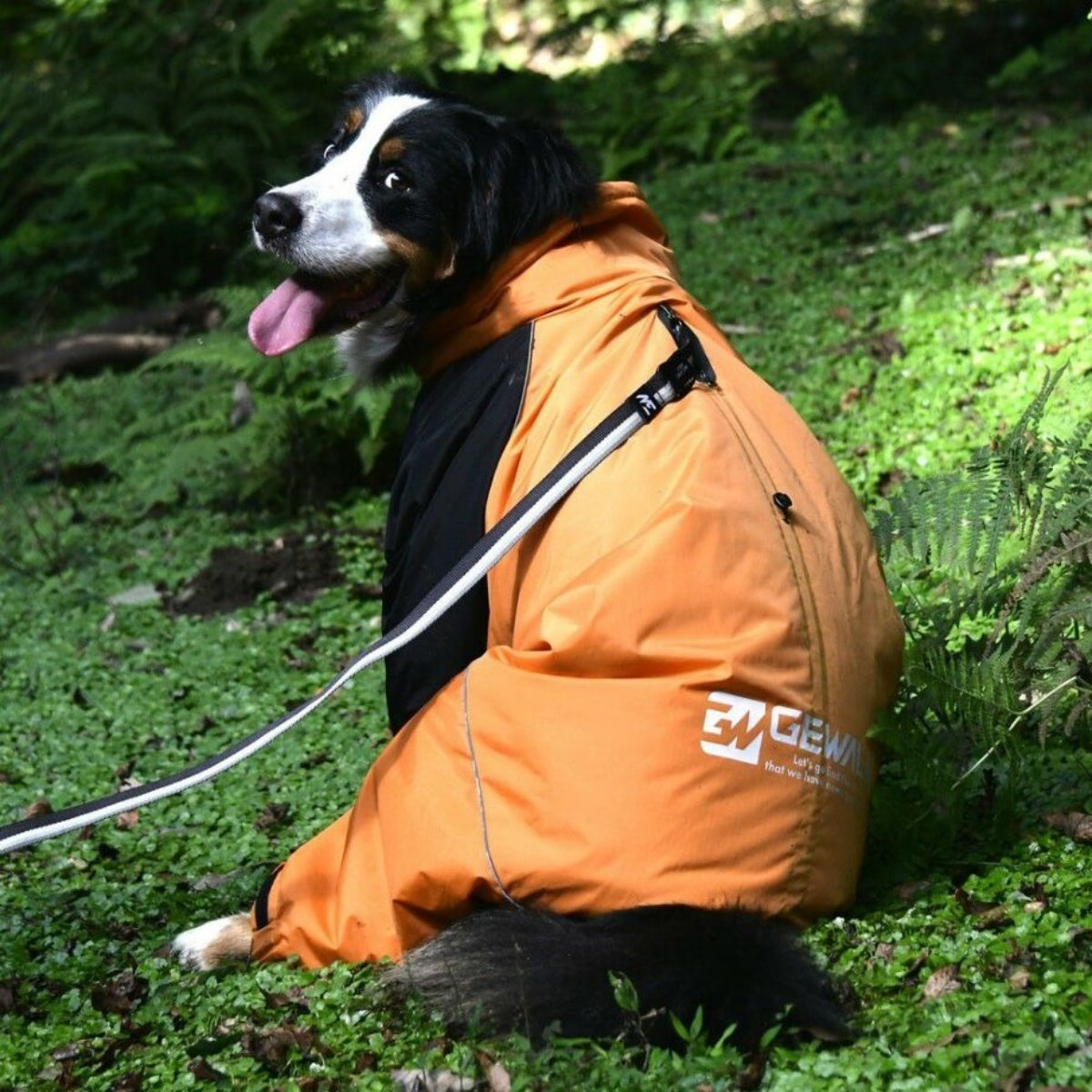 【GEWALK ジウォーク】2025年モデル ドリズル サーマル オーバーオール 3XL 4XLサイズ 大型犬 撥水加工 ドッグウェア