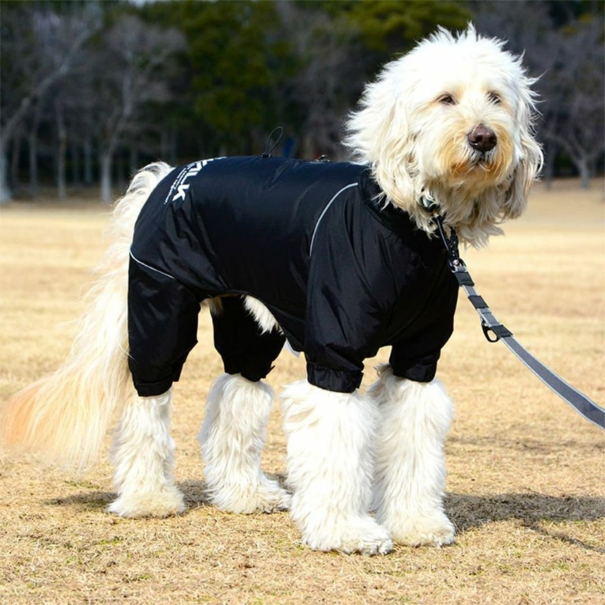 【GEWALK ジウォーク】2025年モデル ドリズル サーマル オーバーオール 3XL 4XLサイズ 大型犬 撥水加工 ドッグウェア