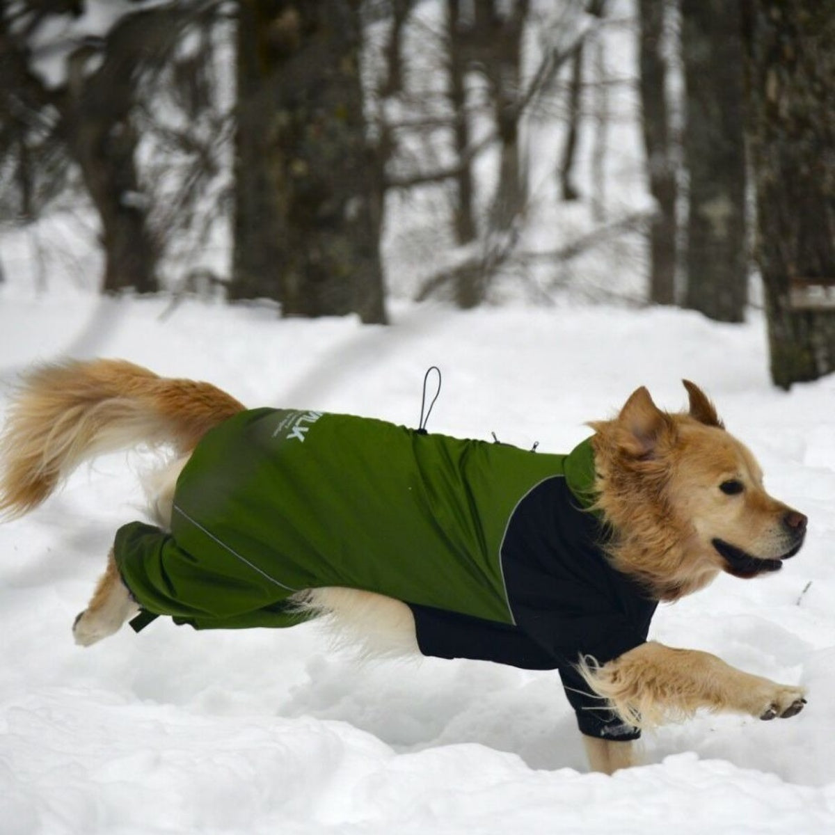 【GEWALK ジウォーク】2025年モデル ドリズル サーマル オーバーオール 3XL 4XLサイズ 大型犬 撥水加工 ドッグウェア