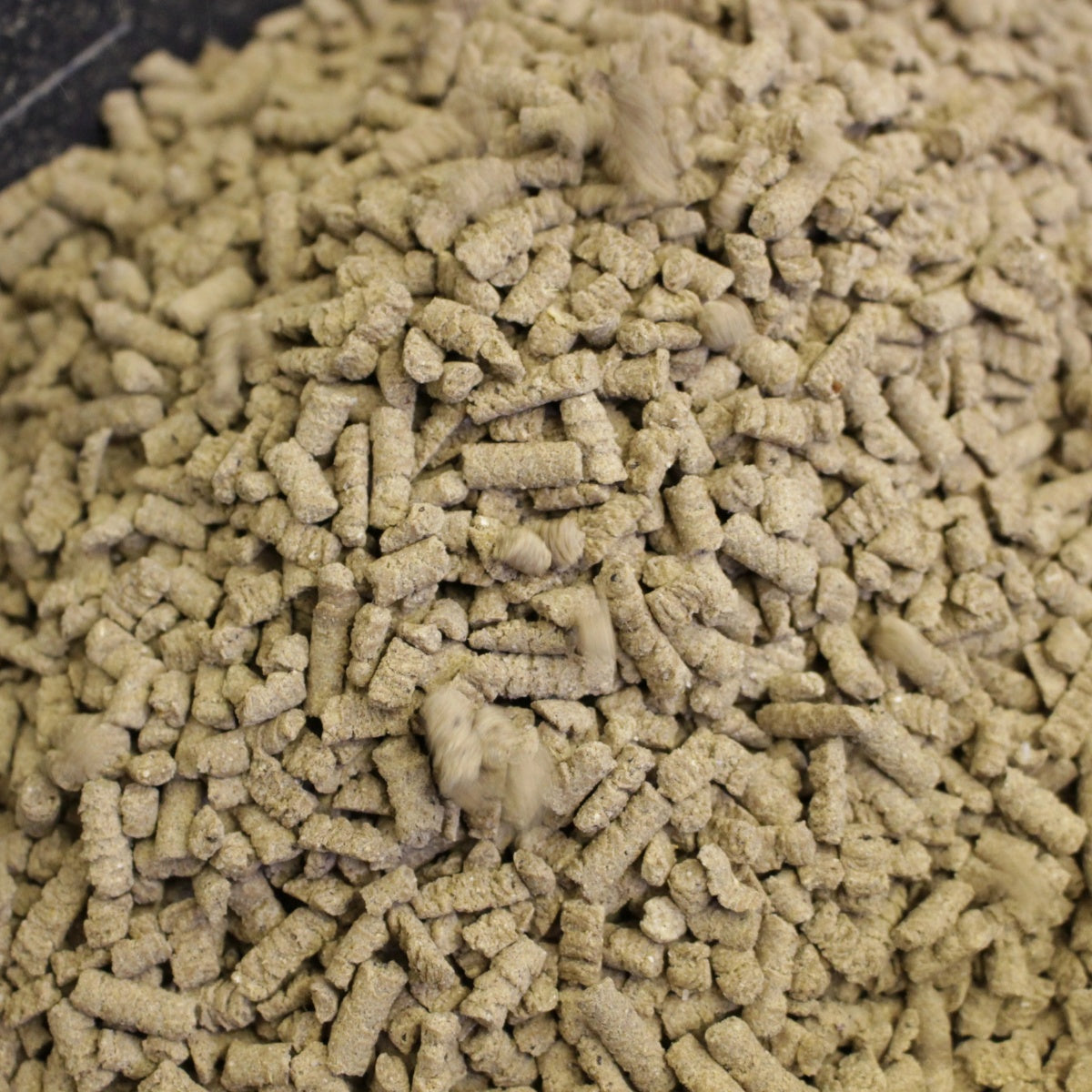 【Hoippo ホイッポ】低温製法DOG FOOD fish 緑イ貝エキス 50g 魚 国産原料