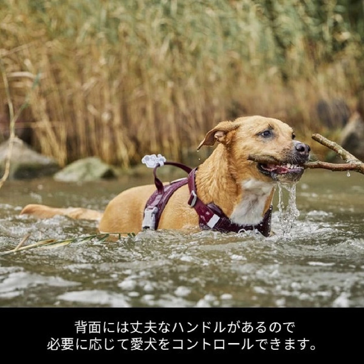 【Hurtta フルッタ】ウォーリアハーネス2エコ 40～50/45～60cm