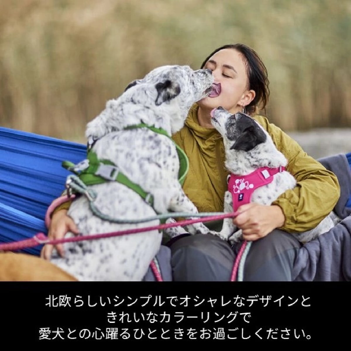 【Hurtta フルッタ】ウォーリアハーネス2エコ 40～50/45～60cm