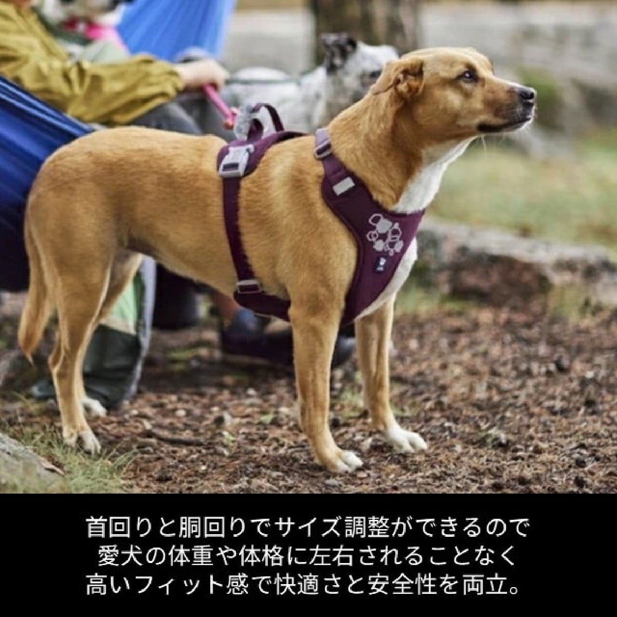 【Hurtta フルッタ】ウォーリアハーネス2エコ 40～50/45～60cm