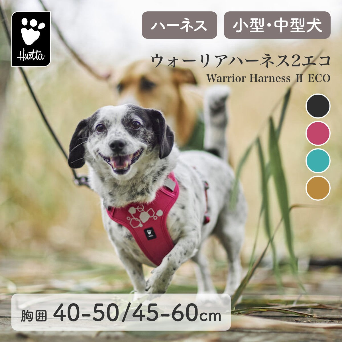 【Hurtta フルッタ】ウォーリアハーネス2エコ 40～50/45～60cm