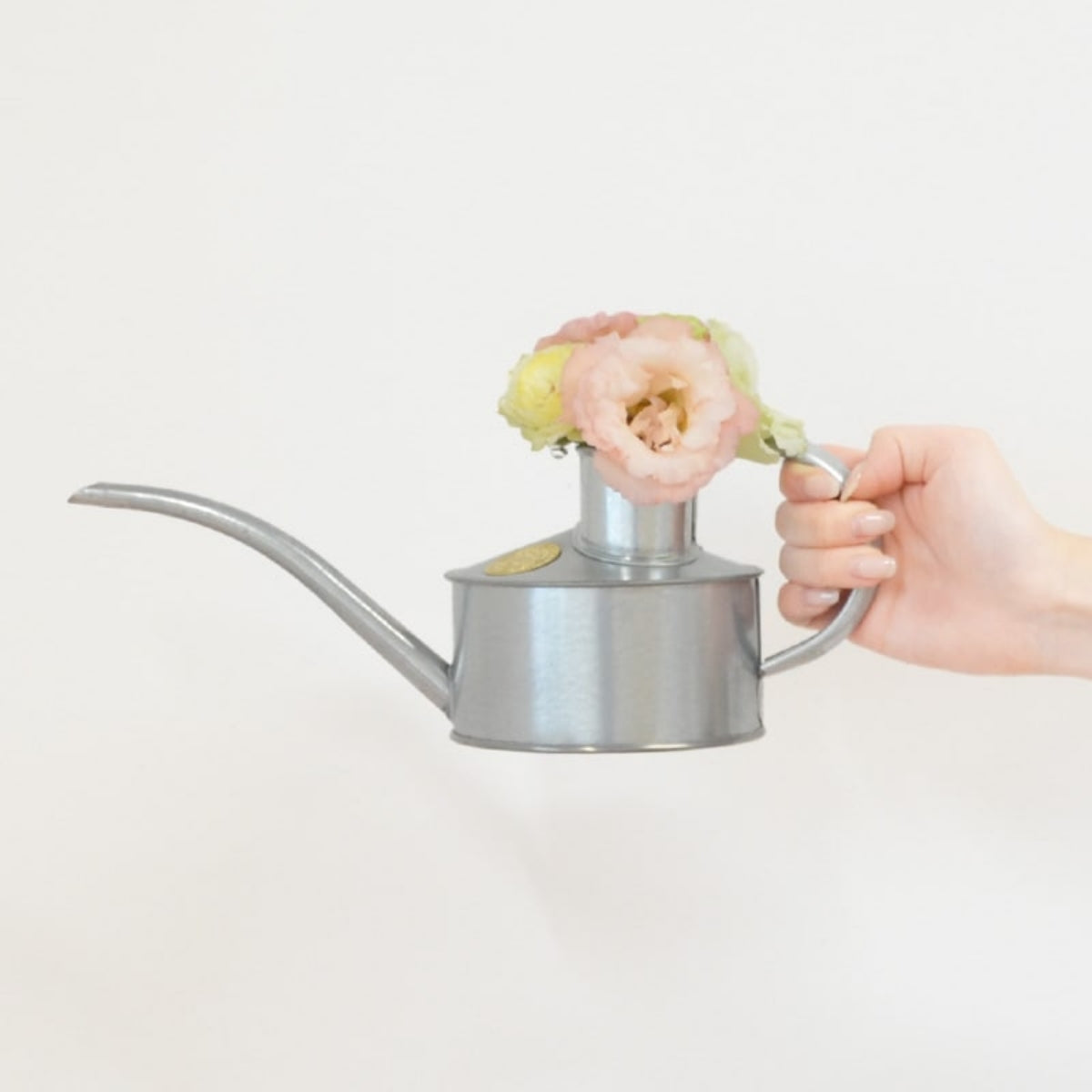 【HAWS ホーズ】Pot Waterer ポットウォーター 0.7L