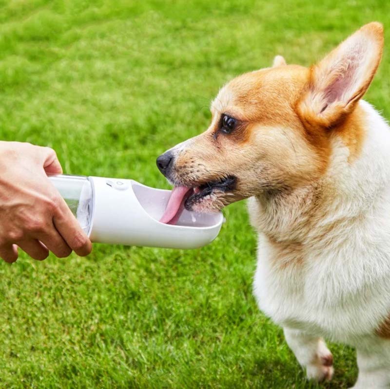 ウォーターボトル PETKIT ワンタッチ・ウォーターボトル 300ml ホワイト