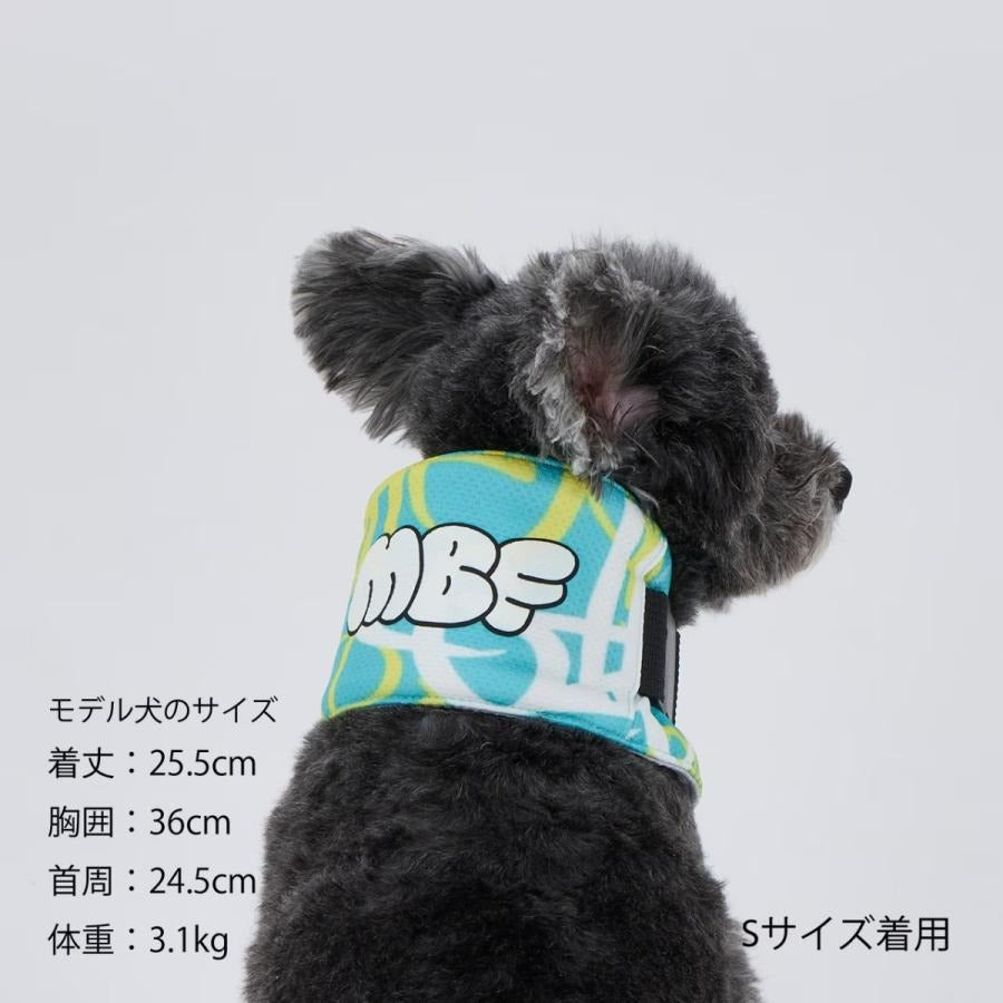 【MANDARINE BROTHERS マンダリンブラザーズ】CCLネッククーラー