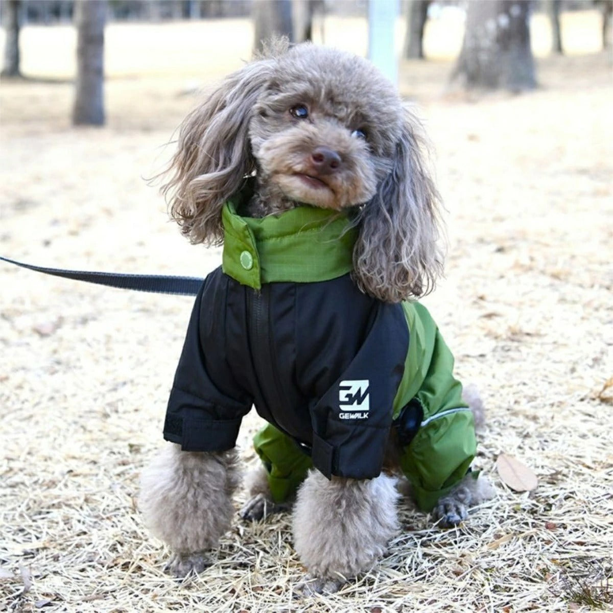 【GEWALK ジウォーク】2025年モデル ドリズル サーマル オーバーオール XS S 小型犬 撥水加工 ドッグウェア
