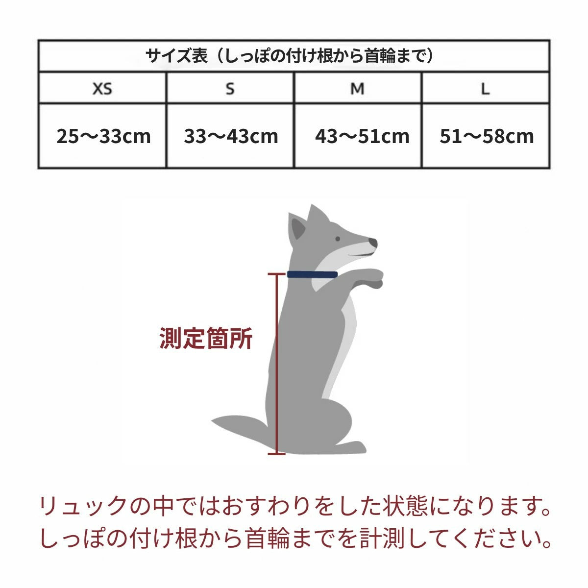 【K9 Sport Sack ケーナイン スポーツサック】スポーツサック Air2  旧ロゴ XS,S,M,Lサイズ ブラック・グレー・ミント