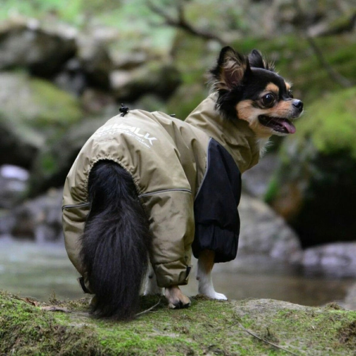 【GEWALK ジウォーク】2025年モデル ドリズル サーマル オーバーオール XS S 小型犬 撥水加工 ドッグウェア