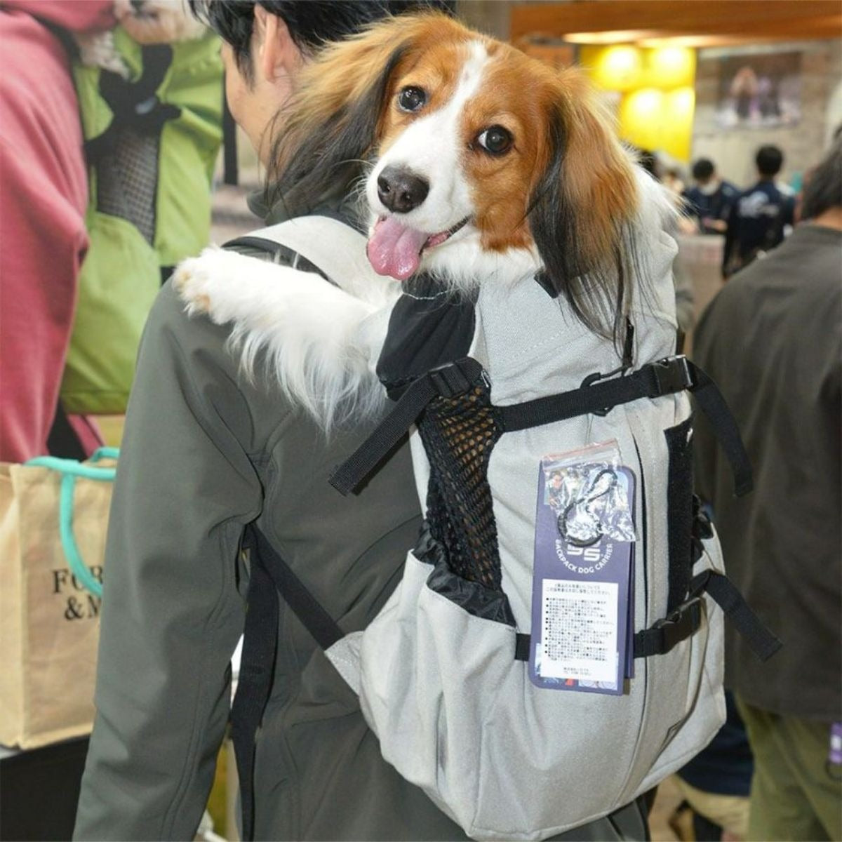 【K9 Sport Sack ケーナイン スポーツサック】スポーツサック Air2  旧ロゴ XS,S,M,Lサイズ ブラック・グレー・ミント
