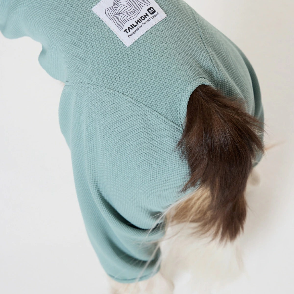 【TAILHIGH テールハイ】防虫アクティブスーツ Anti-Bug Active Suit XXS-XLサイズ