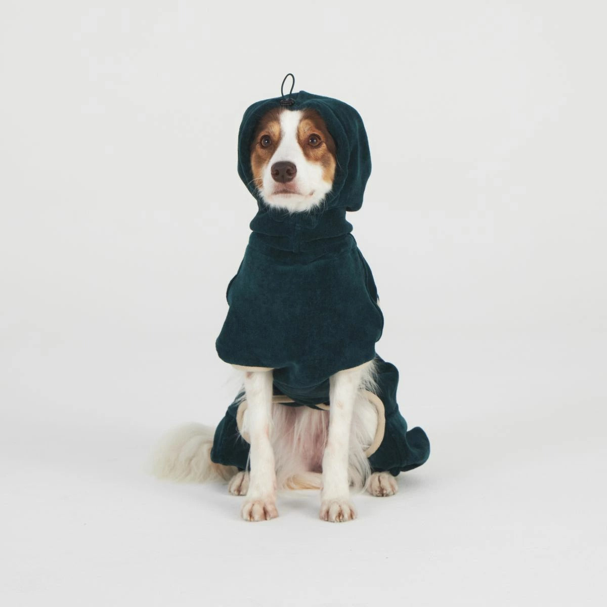 【TAILHIGH テールハイ】ドライローブ Go2 Drying Wearable Towel S,SM,M,ML,Lサイズ フォレストグリーン ドッグウェア 吸水タオル 着るタオル バスタオル 小型犬 中型犬 大型犬
