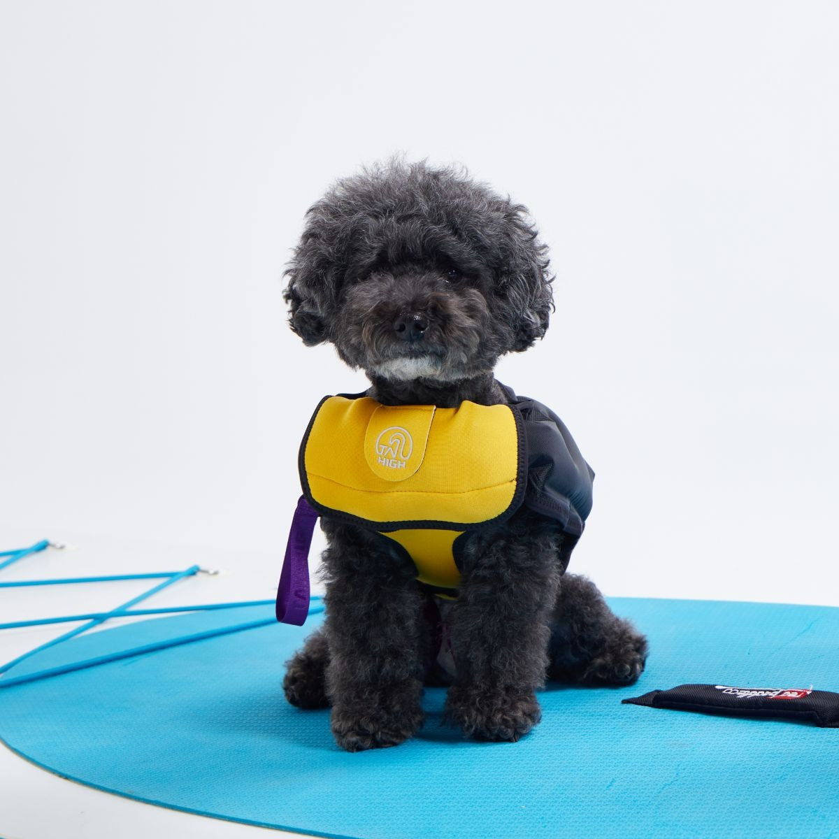 犬用ライフジャケット テールハイ XSサイズ TAILHIGH テールハイ】ライフジャケット Inflatable Wetsuit XXS,XSサイズ