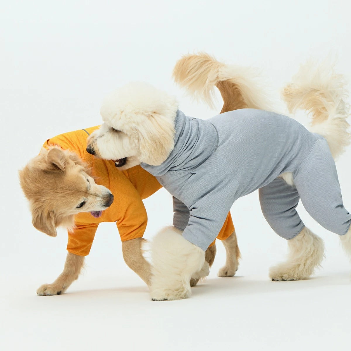 【TAILHIGH テールハイ】防虫アクティブスーツ Anti-Bug Active Suit XXS-XLサイズ
