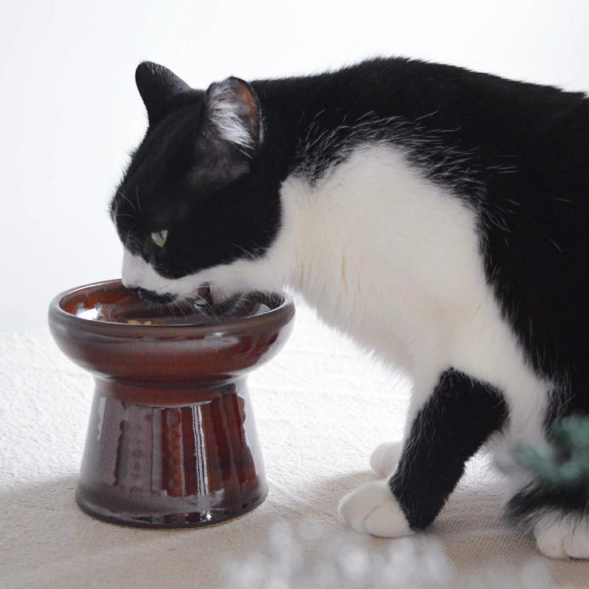 【CAThreee キャットスリー】Tsunaguうつわ（フードボウル） 益子焼飴色  猫