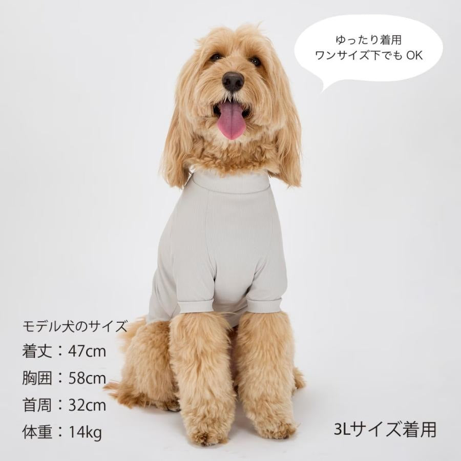 【MANDARINE BROTHERS マンダリンブラザーズ】インセクトシールド Tシャツ