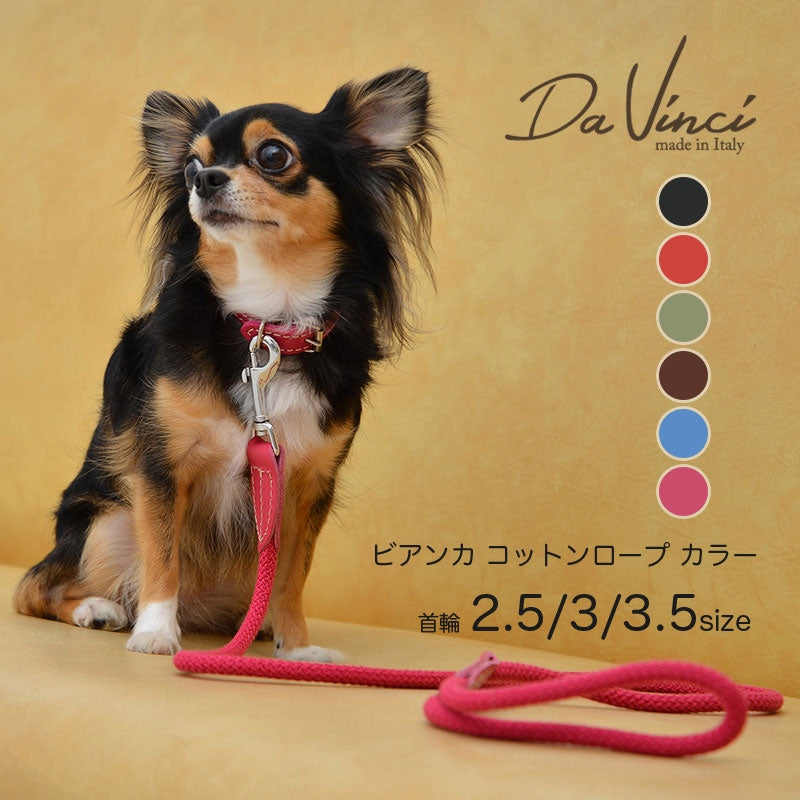 【Da Vinci ダヴィンチ】ビアンカコットンロープ カラー サイズ 2.5／3／3.5
