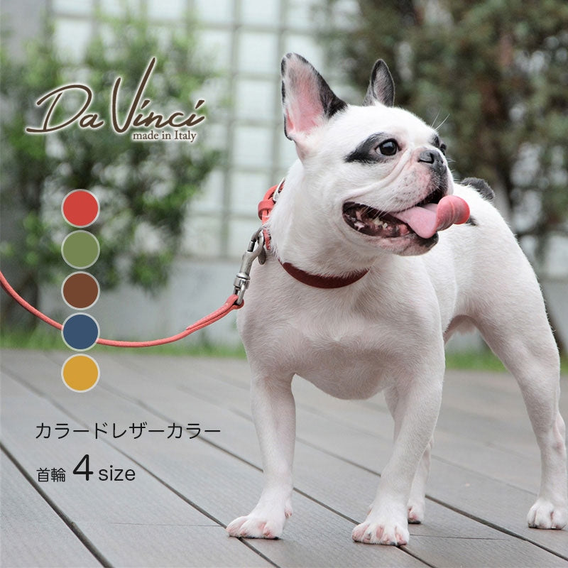【Da Vinci ダヴィンチ】ペッレイングラッサカロラータ カラー サイズ4