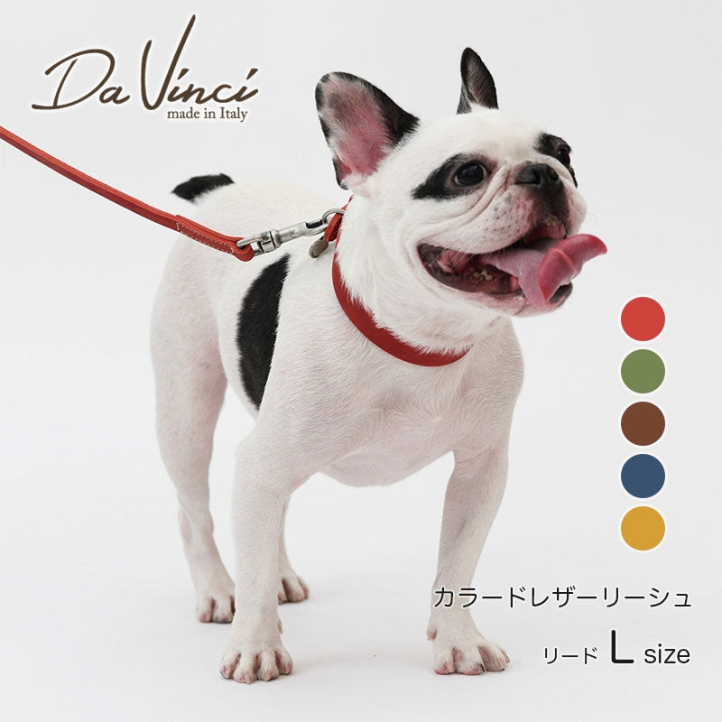 【Da Vinci ダヴィンチ】ペッレイングラッサカロラータ リーシュ 110[L]サイズ