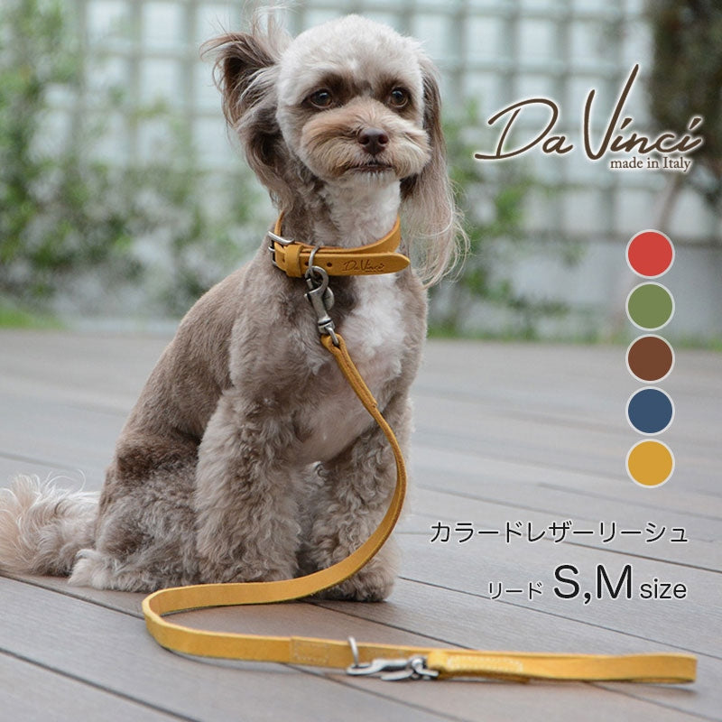 【Da Vinci ダヴィンチ】ペッレイングラッサカロラータ リーシュ 110[S,M]サイズ