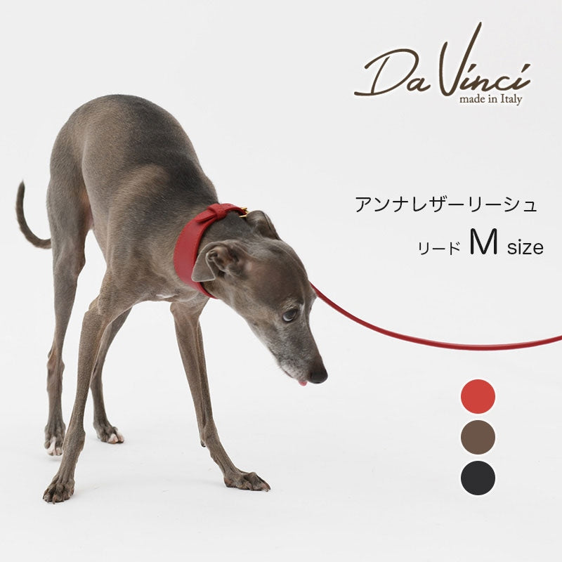 【Da Vinci ダヴィンチ】アンナレザー リーシュ 110[M]サイズ ※在庫限りで終了※