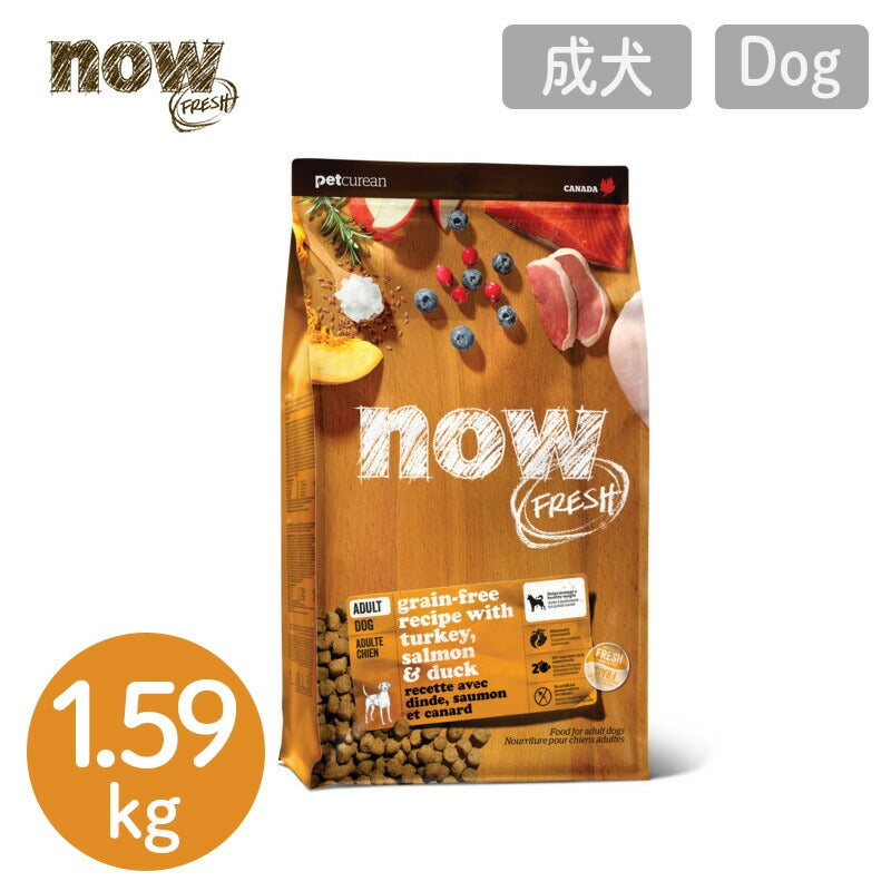 【NOW FRESH ナウ フレッシュ】グレインフリー アダルト / 1.59kg ターキー ドッグフード