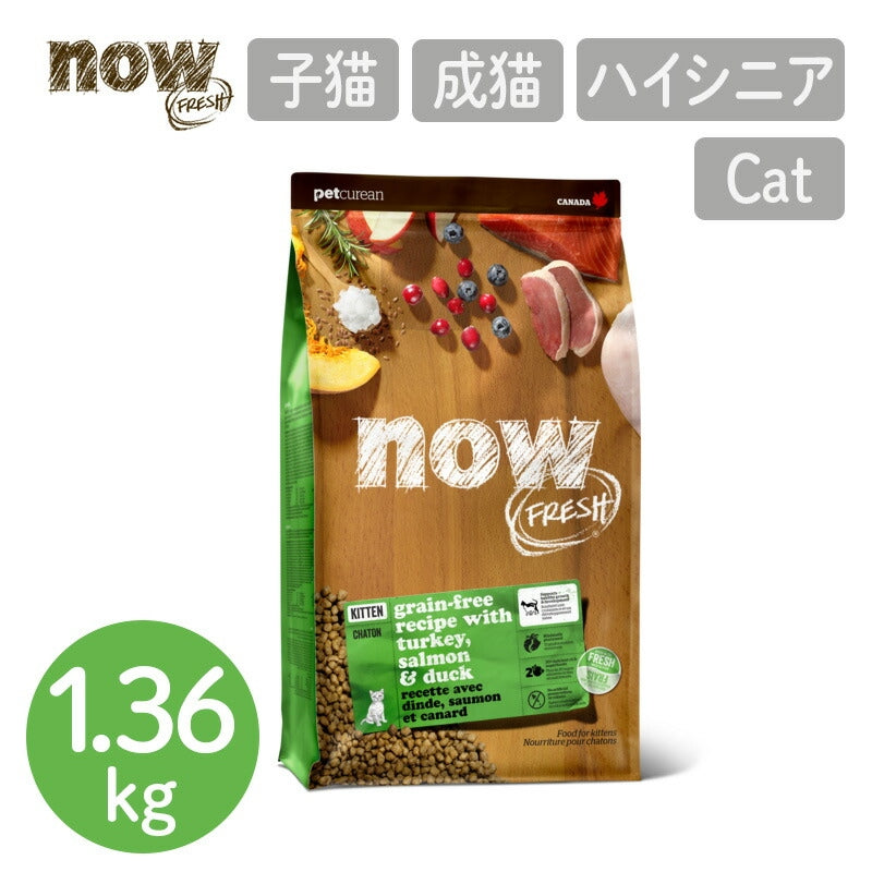 【NOW FRESH ナウ フレッシュ】グレインフリー キトン / 1.36kg ターキー キャットフード