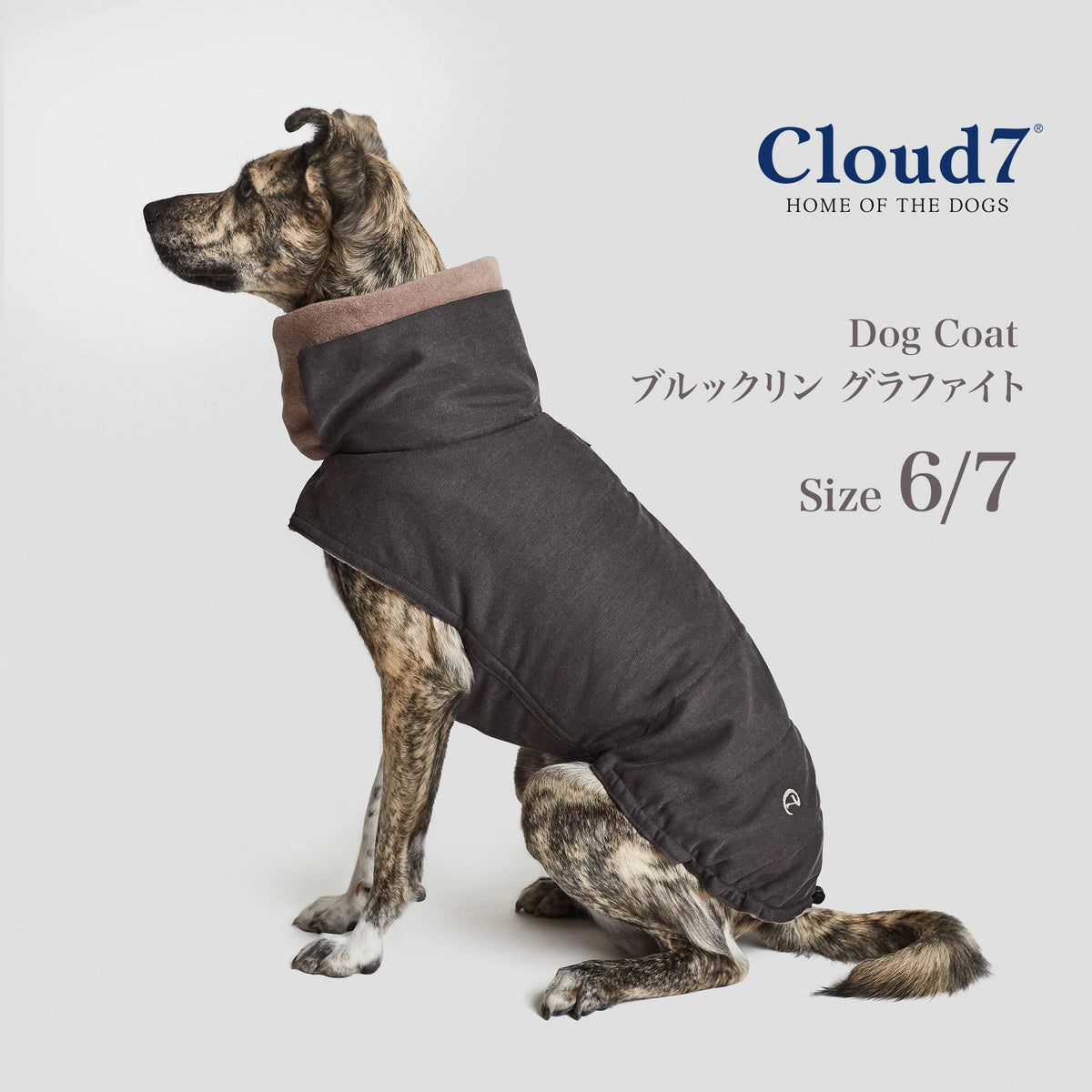 【Cloud7 クラウドセブン】犬用コート Brooklyn Graphite ブルックリン防水グラファイト SIZE6/7