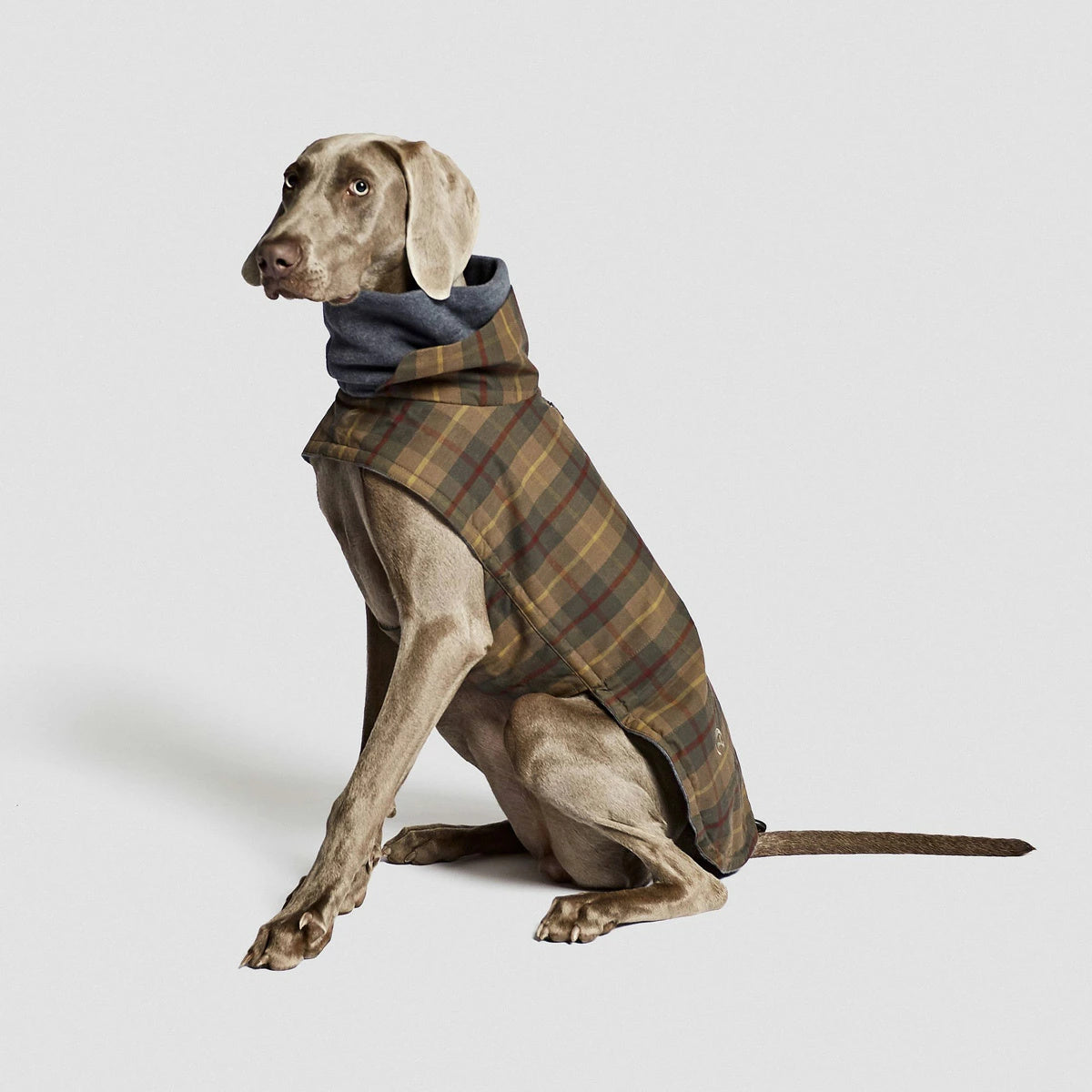 【Cloud7 クラウドセブン】犬用コート Brooklyn Waxed Tartan ブルックリンワックスタータン SIZE3/4/5