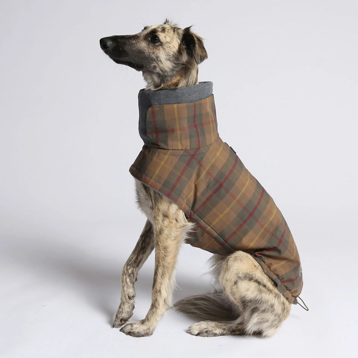 【Cloud7 クラウドセブン】犬用コート Brooklyn Waxed Tartan ブルックリンワックスタータン SIZE6