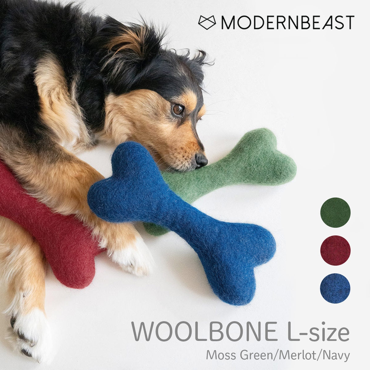【MODERNBEAST モダンビースト】ウールボーン Lサイズ 3カラー