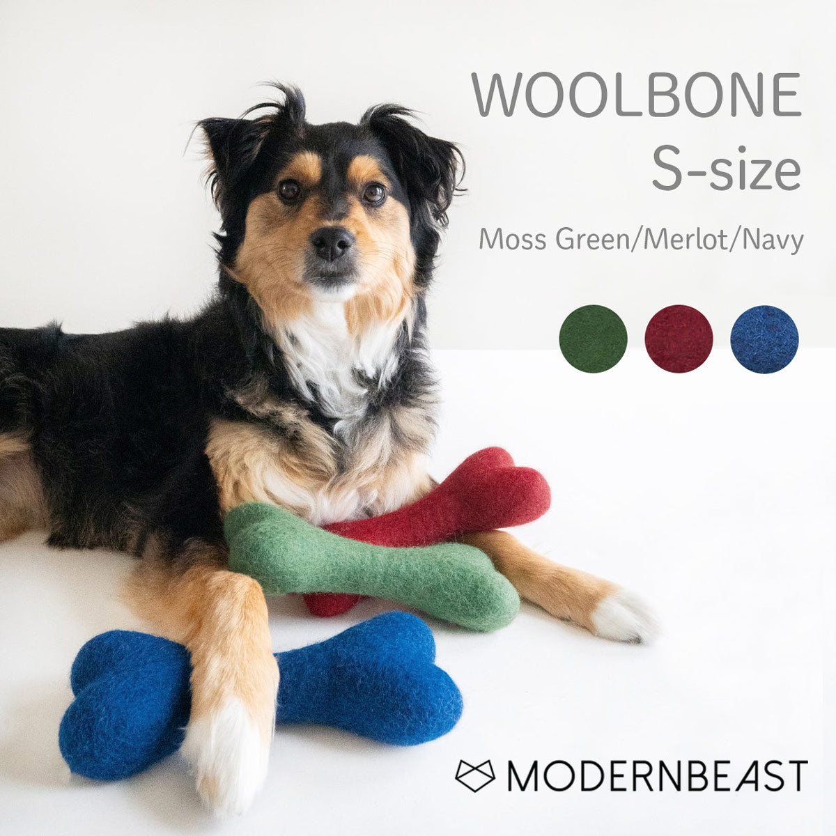 【MODERNBEAST モダンビースト】ウールボーン Sサイズ 3カラー