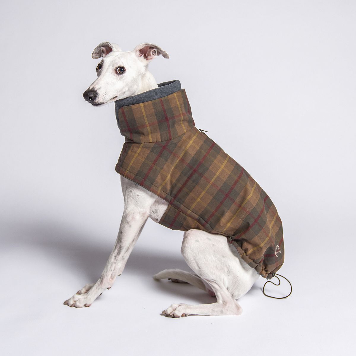 【Cloud7 クラウドセブン】犬用コート Brooklyn Waxed Tartan ブルックリンワックスタータン SIZE3/4/5