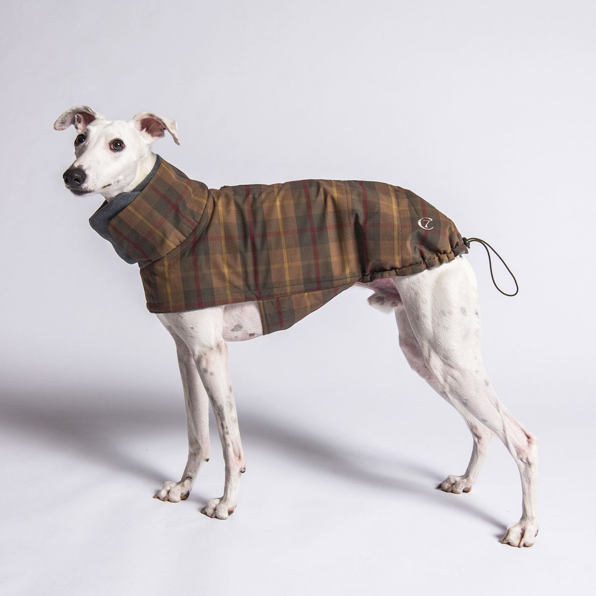 【Cloud7 クラウドセブン】犬用コート Brooklyn Waxed Tartan ブルックリンワックスタータン SIZE6