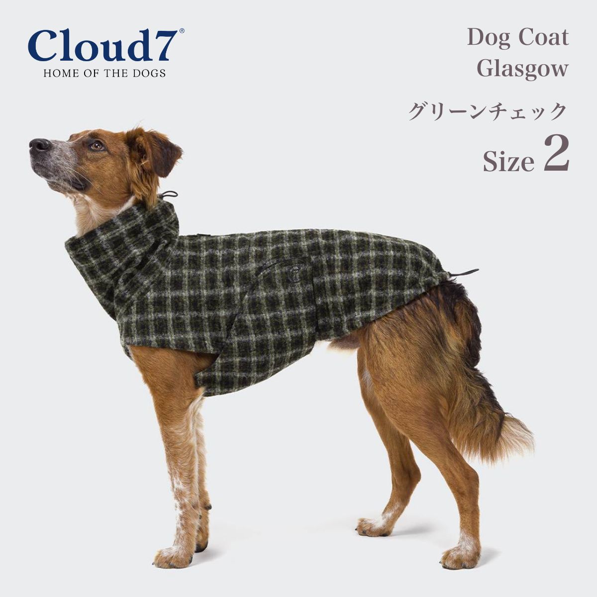 【Cloud7 クラウドセブン】犬用コート グラスゴー グリーンチェック SIZE2