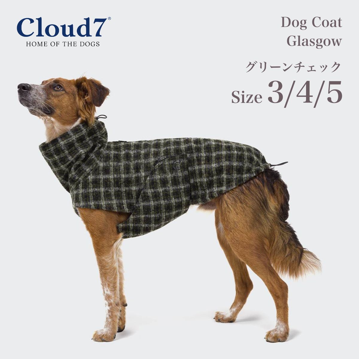 【Cloud7 クラウドセブン】犬用コート グラスゴー グリーンチェック SIZE3/4/5