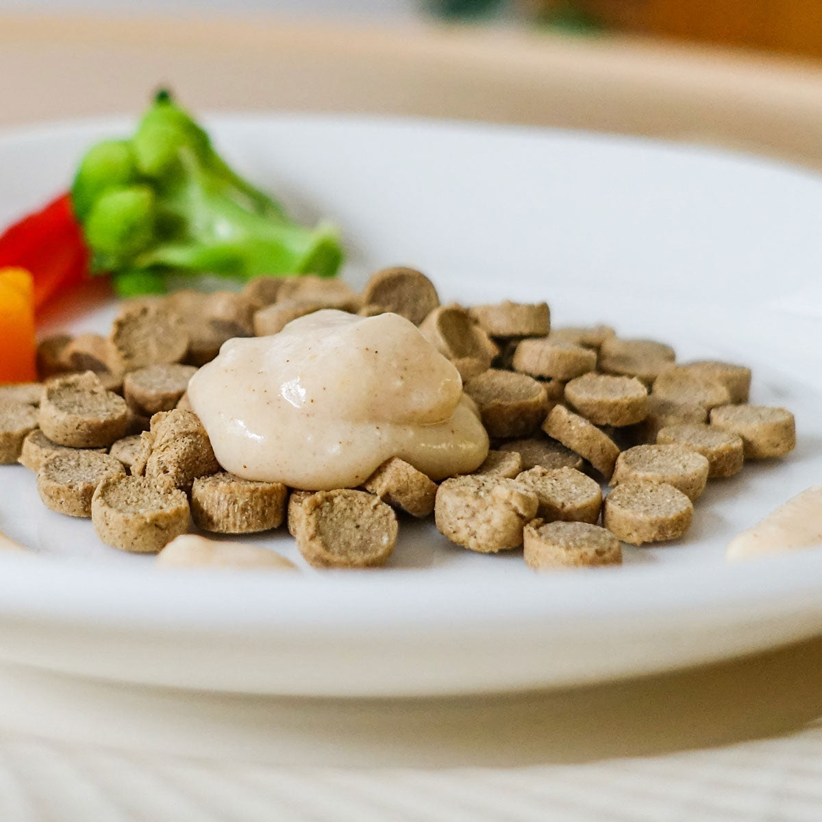 【ヤムヤムヤム! yum yum yum! 】犬用フード ふんわりソース仕立て チキン 60g（10g×6本）