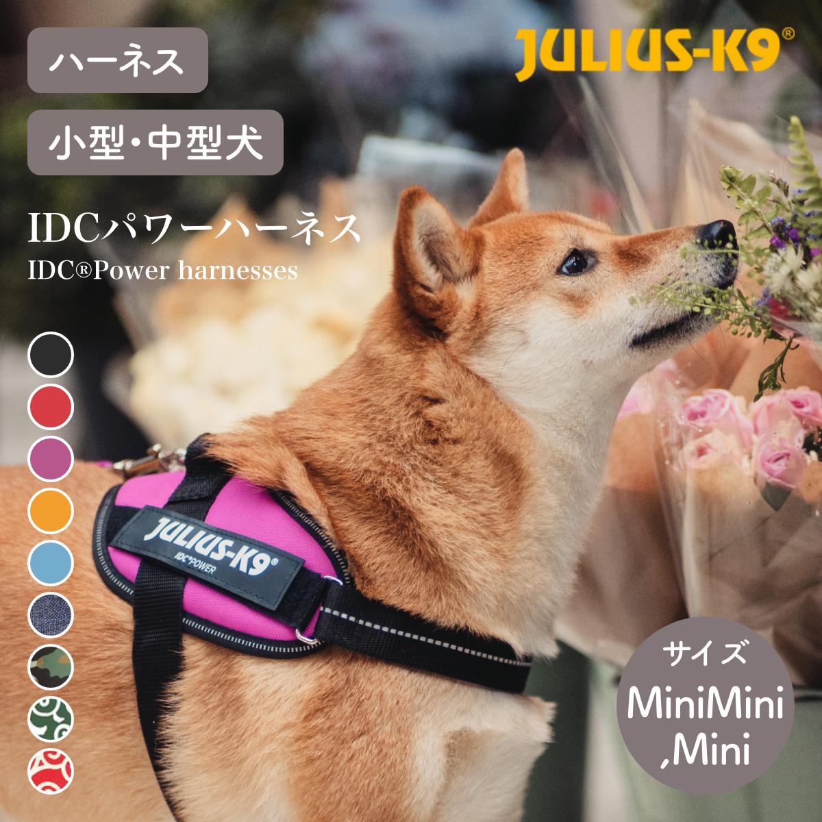 【Julius-K9 ユリウスケーナイン】IDCパワーハーネス IDC®Power harnesses サイズMini Mini / Mini