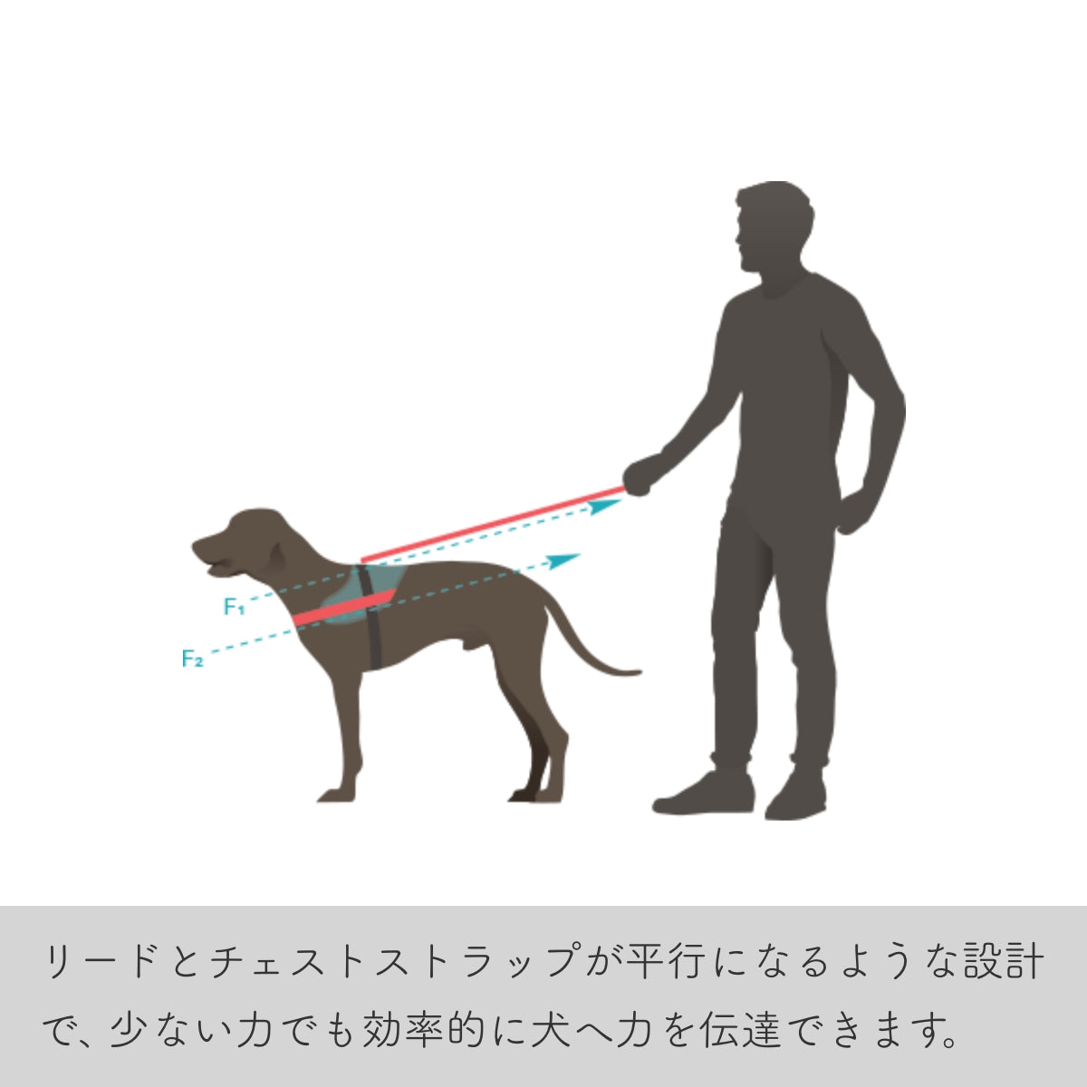 【Julius-K9 ユリウスケーナイン】IDCパワーハーネス IDC®Power harnesses Baby2