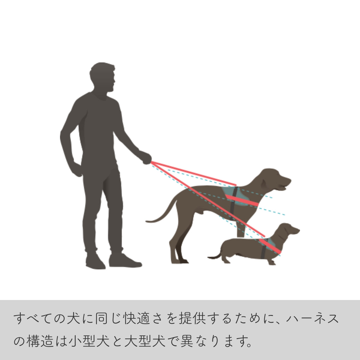 【Julius-K9 ユリウスケーナイン】IDCパワーハーネス IDC®Power harnesses Baby2