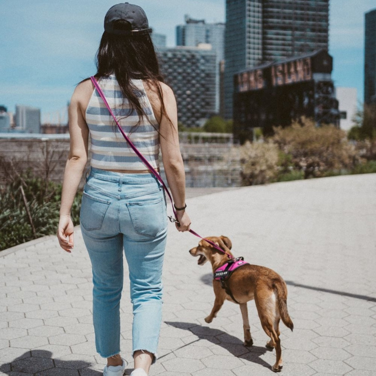 【Julius-K9 ユリウスケーナイン】スーパーグリップリード アジャスタブル 120-220cm 幅14mm/20mm