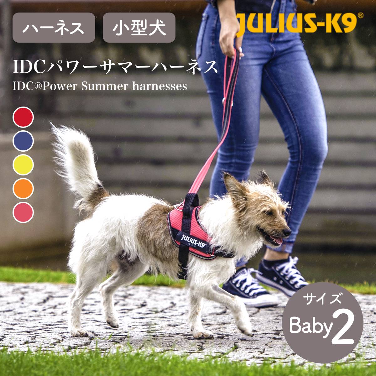 【Julius-K9 ユリウスケーナイン】IDCパワーサマーハーネス IDC®Power Summer harnesses Baby2/2XS