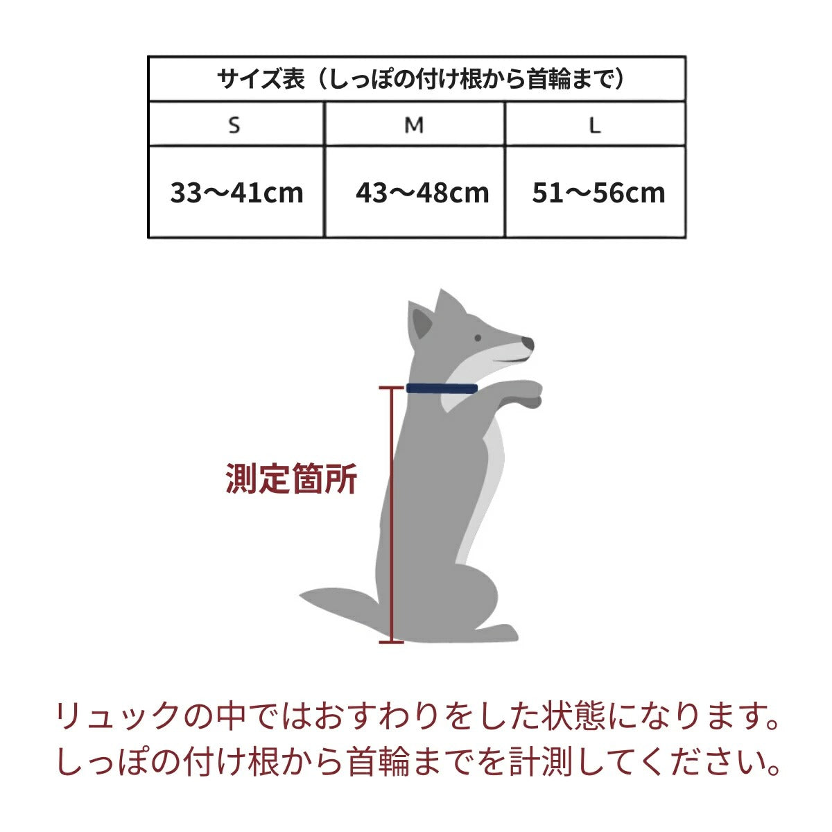 【K9 Sport Sack ケーナイン スポーツサック】スポーツサック Air2  新ロゴタイプ S-L ブラック・グレー・ミント