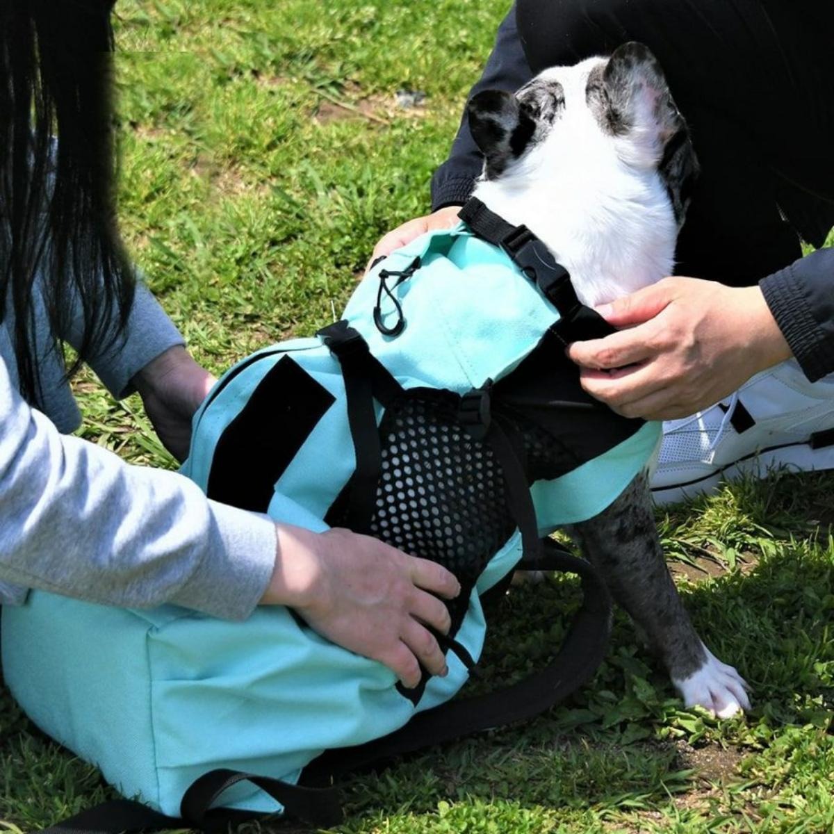 【K9 Sport Sack ケーナイン スポーツサック】スポーツサック Air2  旧ロゴ XS,S,M,Lサイズ ブラック・グレー・ミント