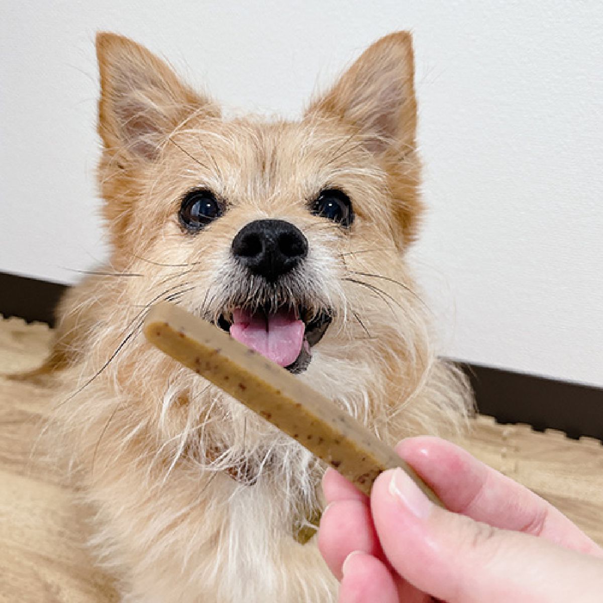 【きなり】しっとりやわらかジャーキー さつまいも 6本入
